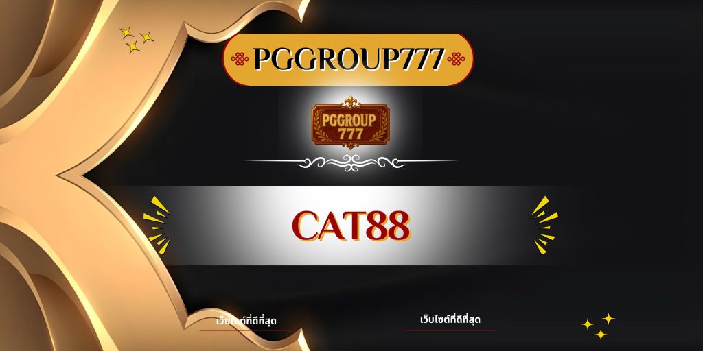 cat888